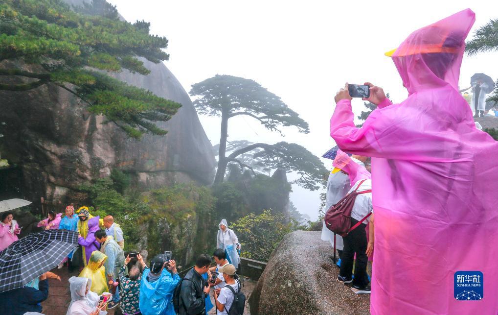 永利皇宫下载